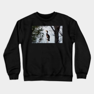 Double-crested Cormorant Perched On a Tree Branch Crewneck Sweatshirt